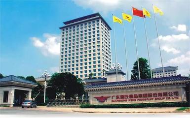 廣東云浮新誕生9位億萬富豪,財(cái)富共計(jì)463億?溫氏又雙叒叕刷屏了