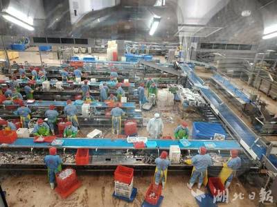 新理念、新模式、新產業(yè)--嘉魚縣水產養(yǎng)殖轉型升級創(chuàng)新模式