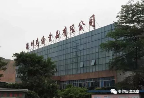 舊改快訊 光明光僑食品廠綜合整治類項目擬調出計劃